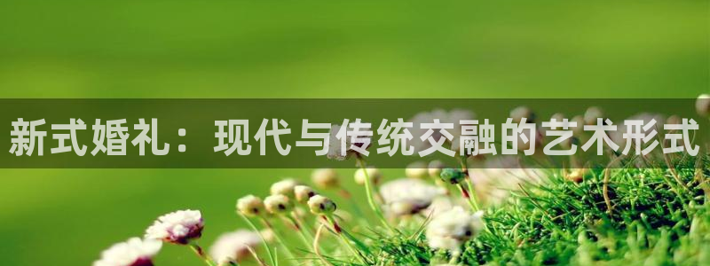 天狮娱乐240040q