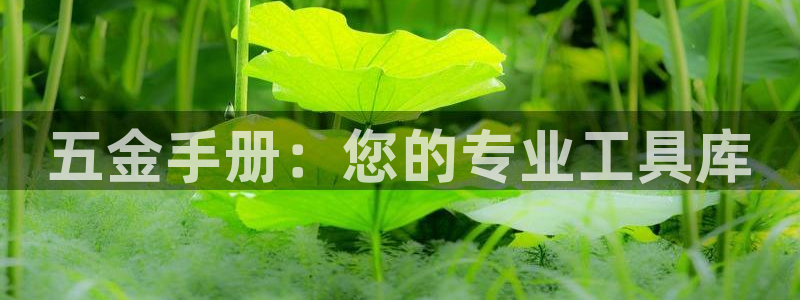 天狮娱乐会路吗