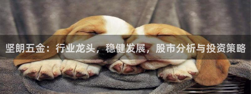 天狮娱乐a 判官
