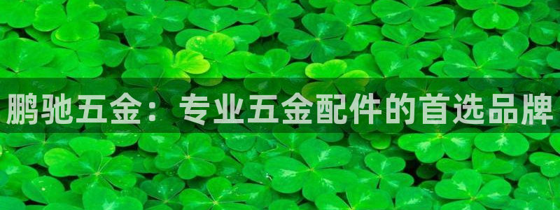 天狮娱乐i股t东64681