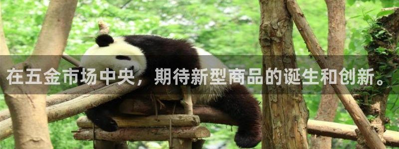 天狮娱乐官方网站