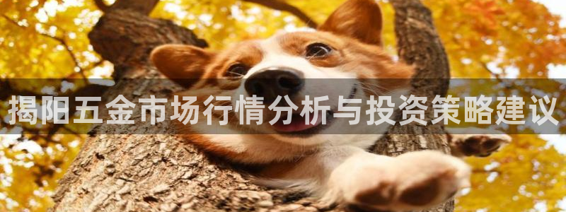 天狮娱乐39869股东