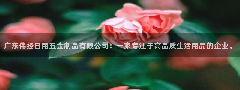 天狮娱乐专线