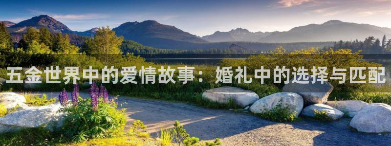 天狮娱乐负