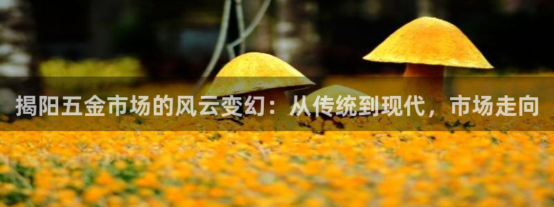 天狮娱乐 招商