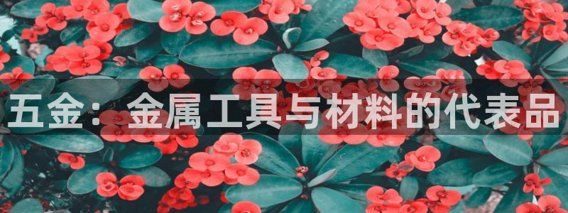 天狮娱乐指尖自