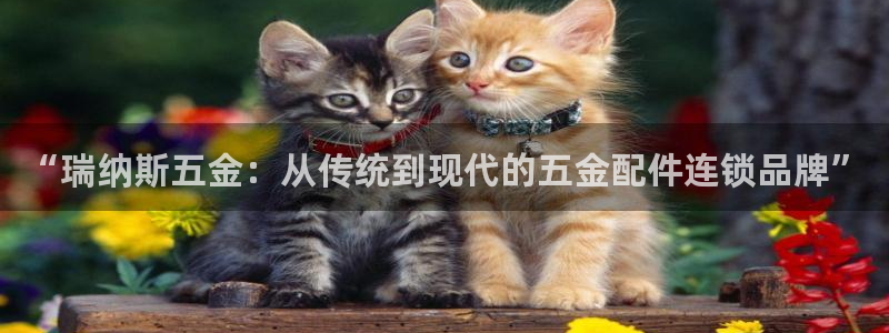 天狮娱乐谁在玩
