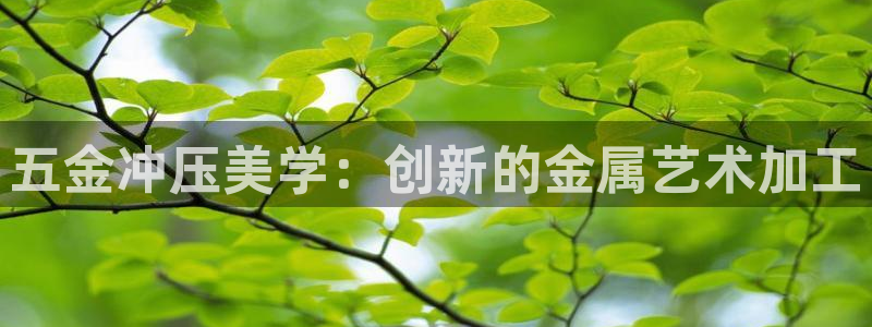 天狮娱乐 b招商67646
