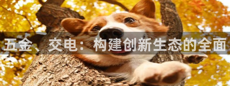 天狮娱乐 b运营61166