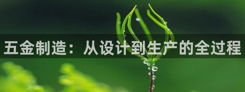 天狮娱乐彩票玩法