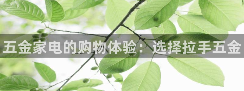 天狮娱乐代理是谁