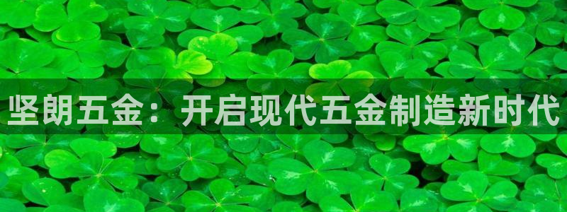 天狮娱乐h 判官