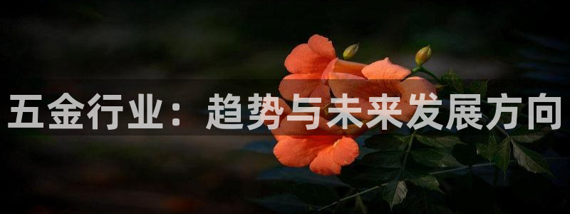 天狮娱乐股东88383