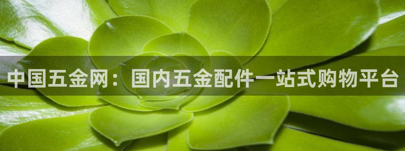 天狮娱乐指尖下载官网