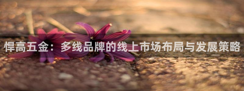 天狮娱乐主管66六26