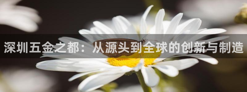 天狮娱乐总部在哪里