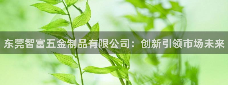 天狮娱乐主管招商