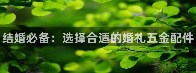 天狮娱乐是什么东西