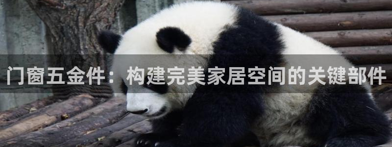 天狮娱乐app下载