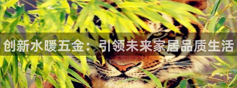 天狮娱乐主管82104