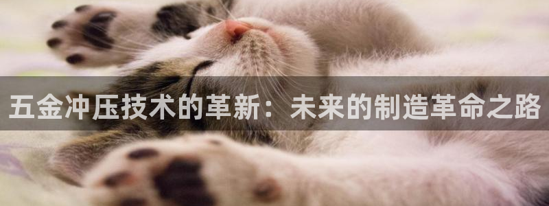 天狮娱乐 b运营61166