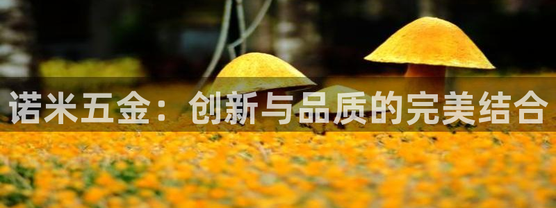 天狮娱乐 a内部29229