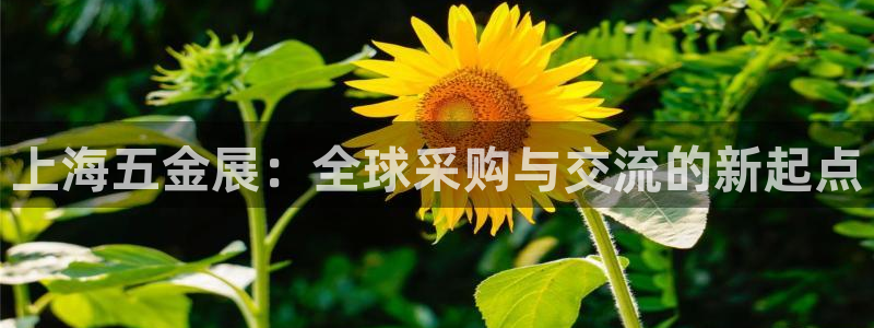 天狮娱乐平台是哪里的