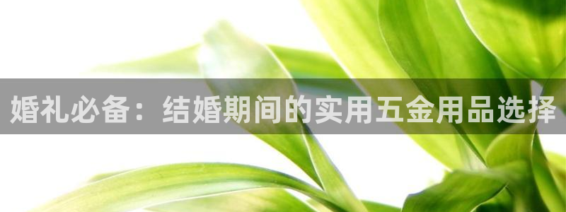 天狮娱乐平台下载