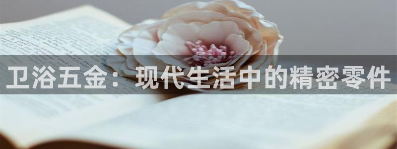 天狮娱乐c 判官