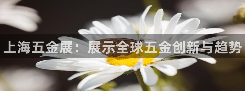 天狮娱乐hefame