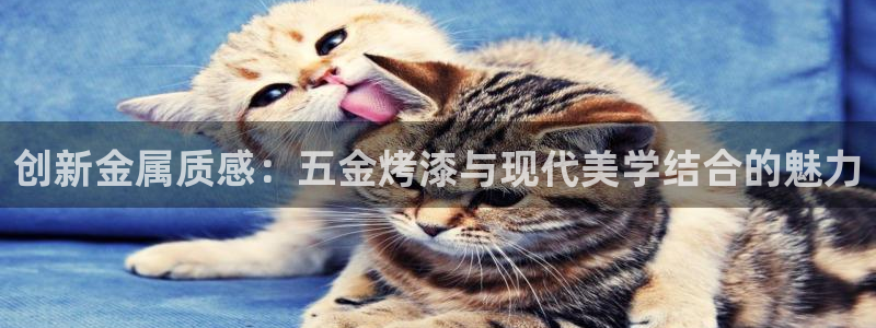 天狮娱乐950594