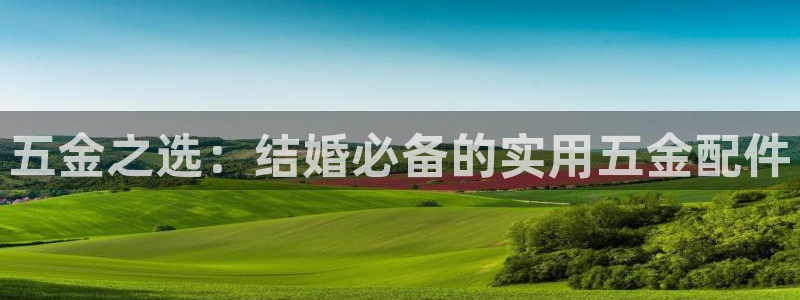 天狮娱乐股东