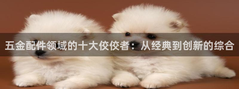 天狮娱乐非法吗