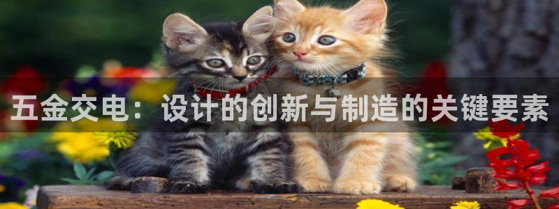 天狮娱乐平台贴吧