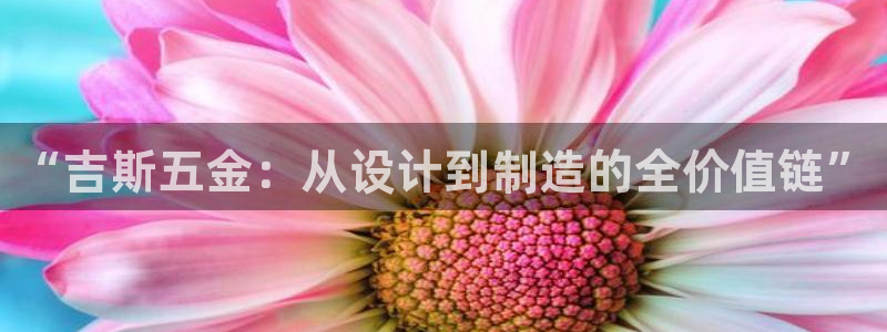 天狮娱乐 amp c主管20476