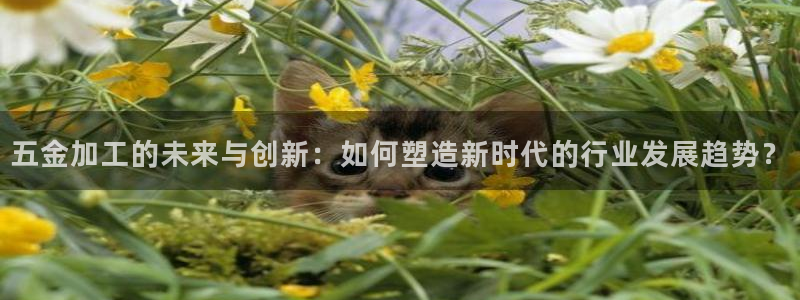 天狮娱乐 招商