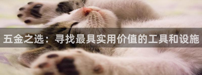 天狮娱乐 138