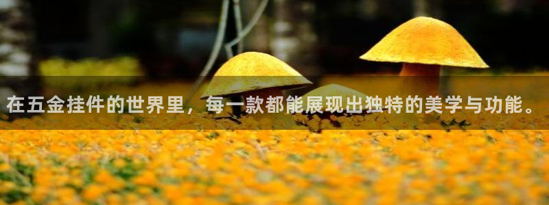 天狮娱乐道