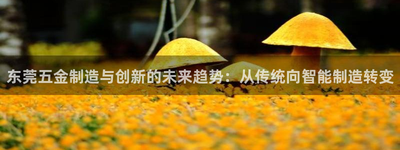 天狮娱乐主管57757
