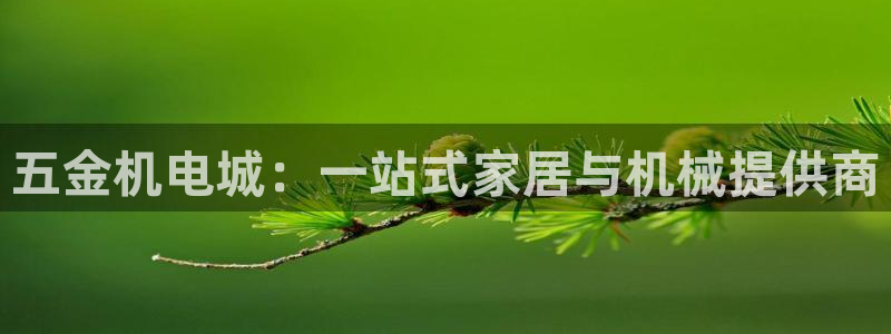 天狮娱乐 82104直招q