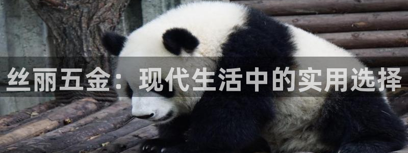 天狮娱乐彩票怎么玩
