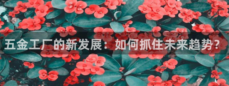 天狮娱乐代理是谁