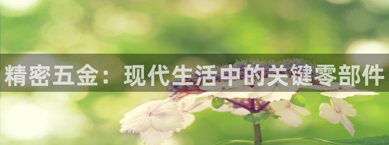 天狮娱乐负