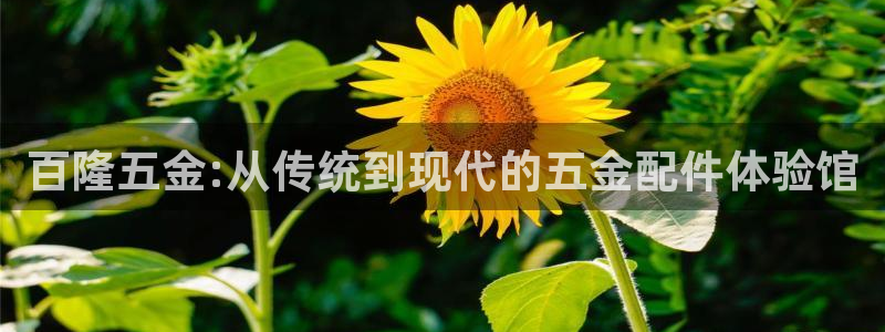 天狮娱乐　23976实c力