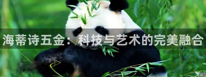 天狮娱乐代理是谁