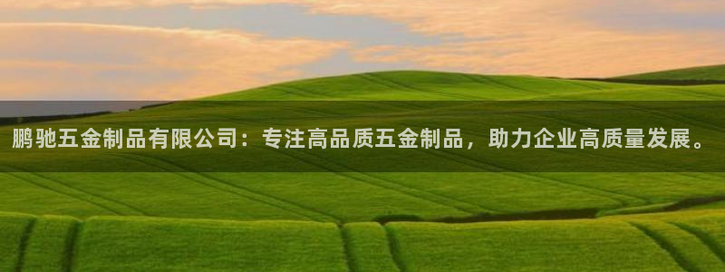 天狮娱乐真的假的