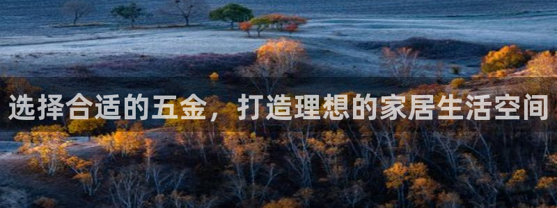 天狮娱乐手机app