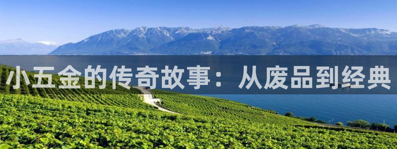 天狮娱乐 股31661东r