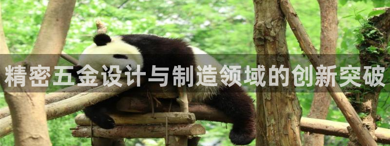 天狮娱乐指尖下载安装