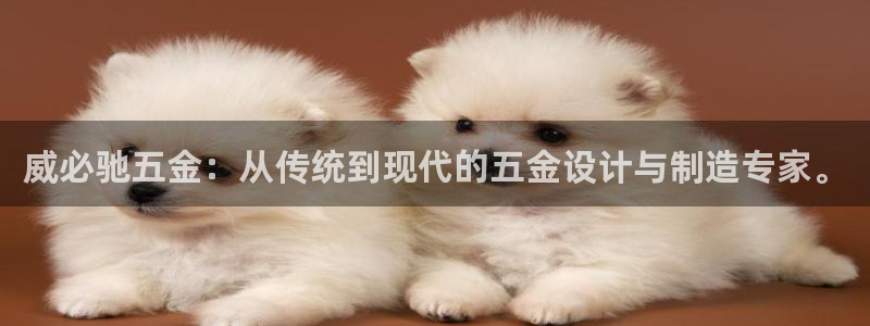 天狮娱乐d 判官